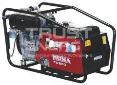 Сварочный генератор Mosa TS 250 KD/EL Открытая на раме Ruggerini RD 210 trustenergo.ru Сварочный генератор Mosa TS 250 KD/EL Открытая на раме Ruggerini RD 210 trustenergo.ru