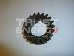 Шестерня коленчатого вала TDL 36 4L/Crankshaft gear
