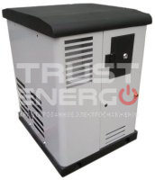 Газовый генератор REG ARCTIC GG6-230SV с АВР